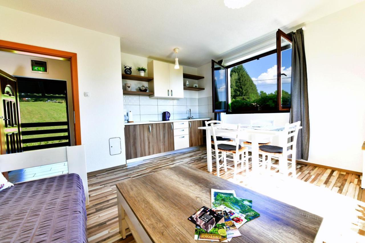 Holiday Home Ostrun Rakovica Bagian luar foto